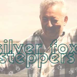 Team Page: Silver Fox Steppers for Nicholas J. Barker